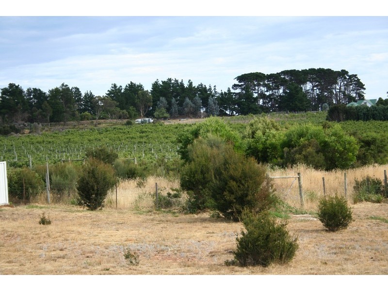 Lot 7 Chardonnay Drive, Hawley Beach TAS 7307