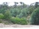 Lot 32355 Eagle Point Road, Bakers Beach TAS 7307