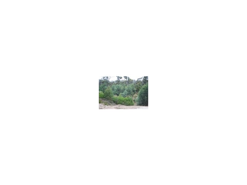 Lot 32355 Eagle Point Road, Bakers Beach TAS 7307