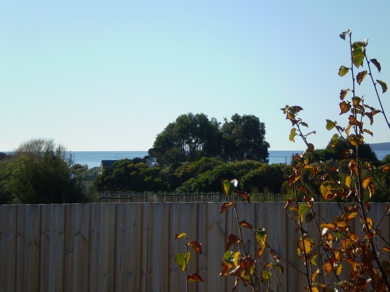Hawley Beach TAS 7307