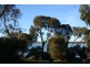 6 Dumbleton Street, Hawley Beach TAS 7307