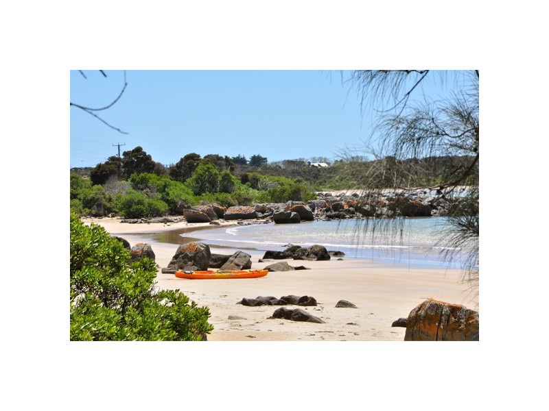 22 Chardonnay Drive, Hawley Beach TAS 7307