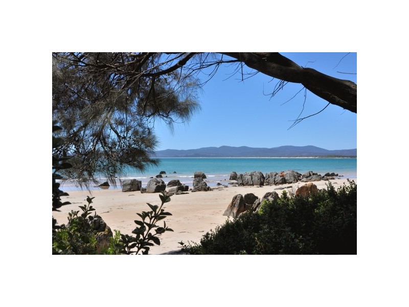 22 Chardonnay Drive, Hawley Beach TAS 7307