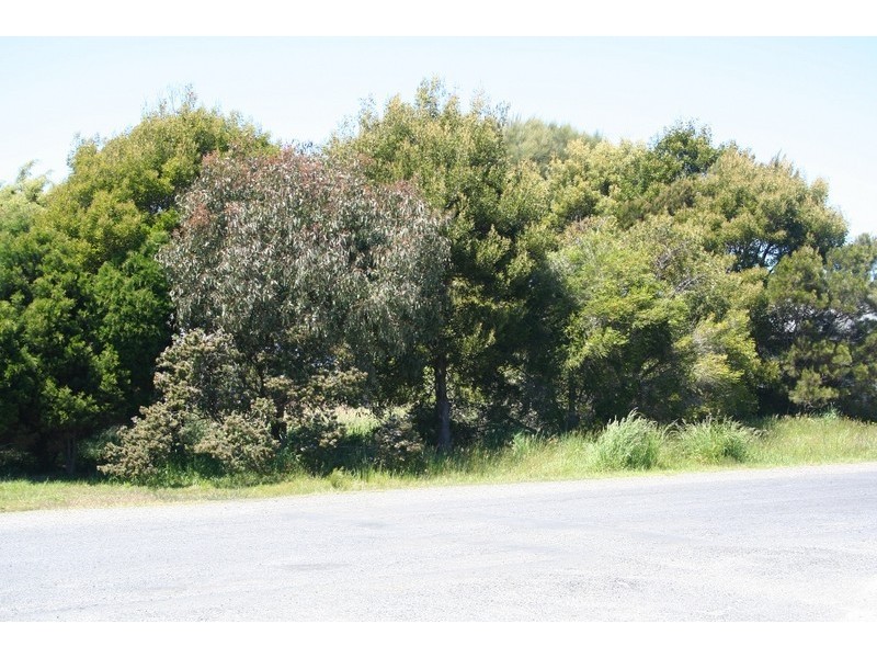 81 Joyce Street, Hawley Beach TAS 7307