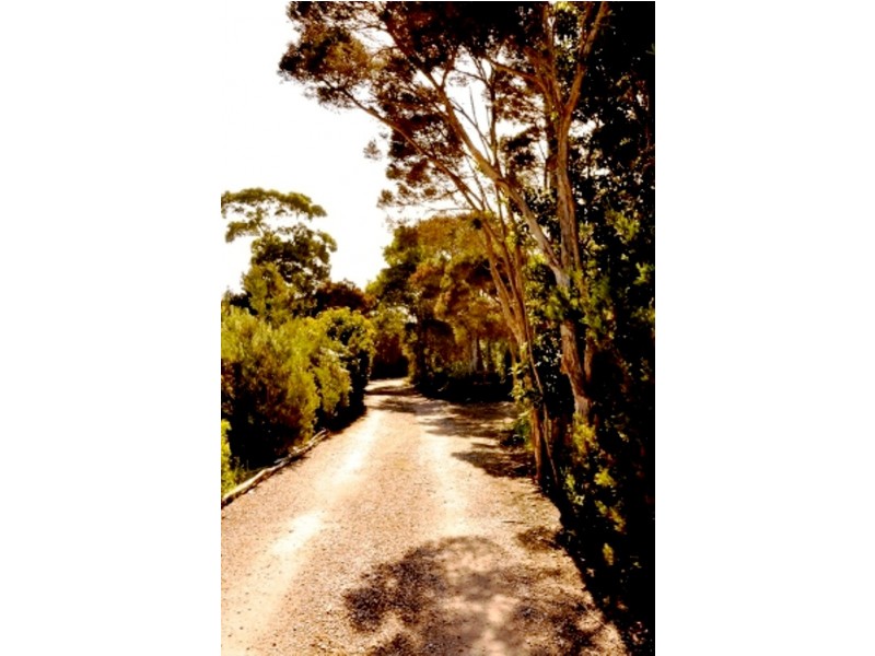 Hawley Beach TAS 7307