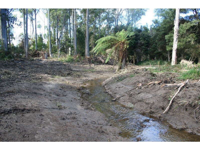 Lot 26162 Annies Lane, Thirlstane TAS 7307