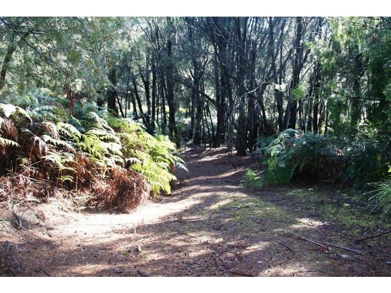Lot 265  Lades Road, Harford TAS 7307