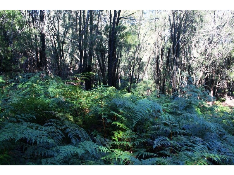 Lot 265  Lades Road, Harford TAS 7307