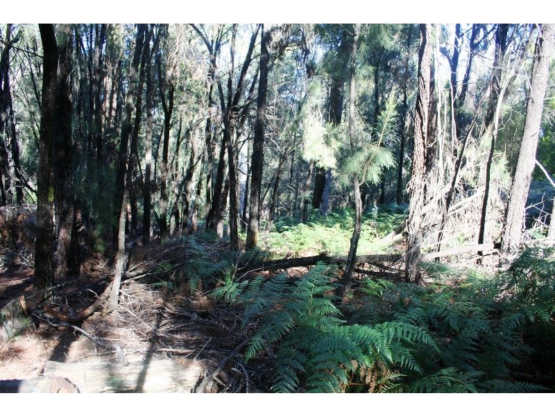 Lot 265  Lades Road, Harford TAS 7307