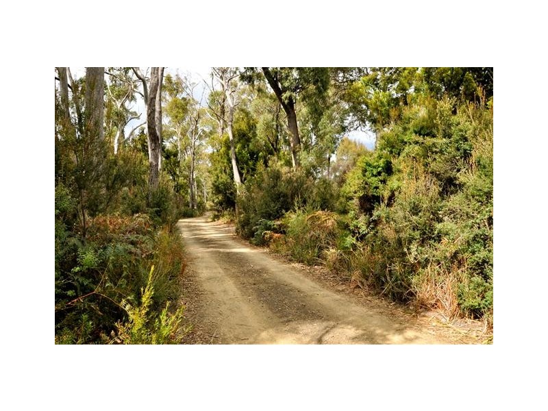 43 The Esplanade, Squeaking Point TAS 7307