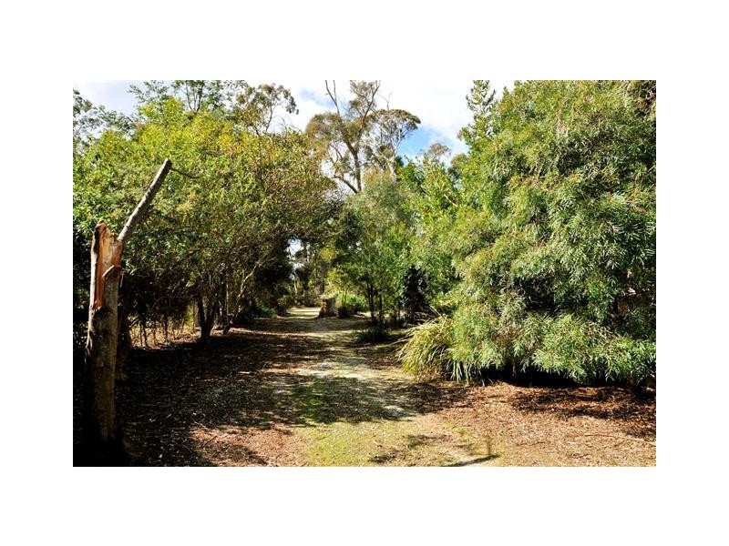 43 The Esplanade, Squeaking Point TAS 7307