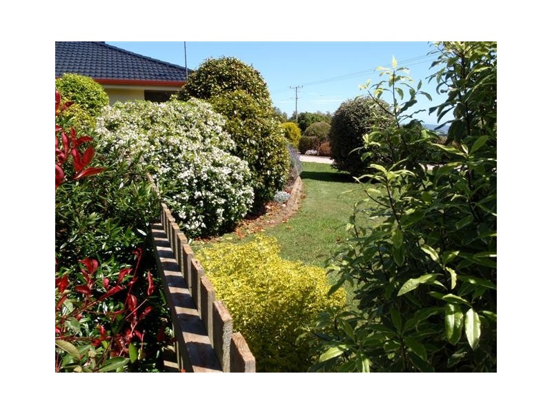 804 Port Sorell Road, Wesley Vale TAS 7307