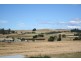 71  Maxwell Dr, Latrobe TAS 7307