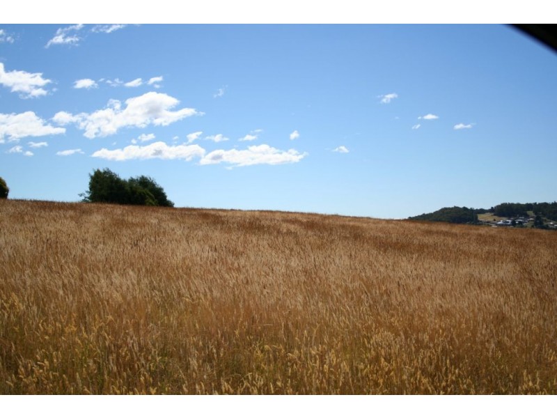 71  Maxwell Dr, Latrobe TAS 7307