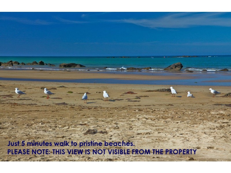 41 Alexander Street, Shearwater TAS 7307