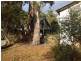 117 Marana Drive, Bakers Beach TAS 7307
