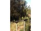 117 Marana Drive, Bakers Beach TAS 7307