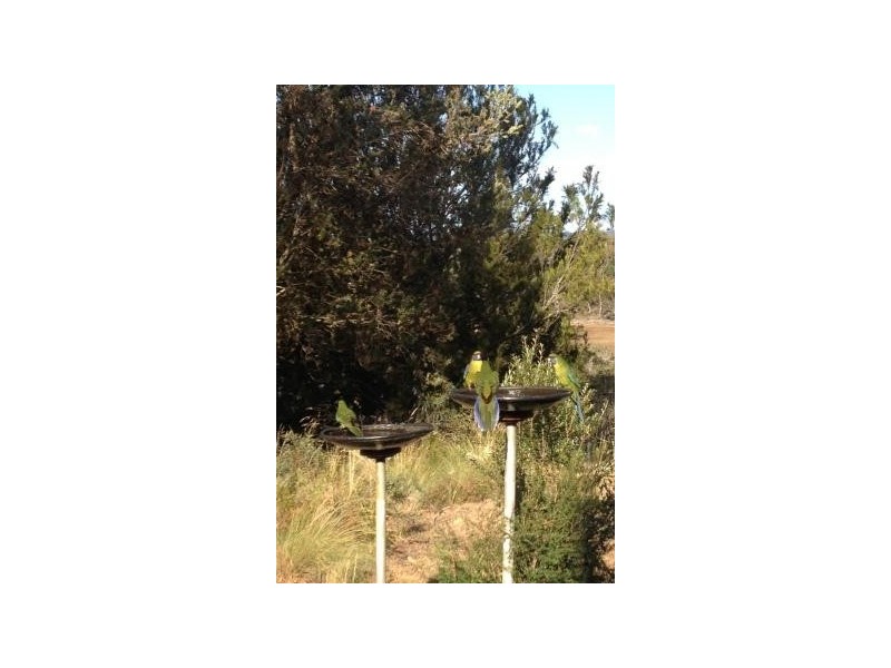 117 Marana Drive, Bakers Beach TAS 7307