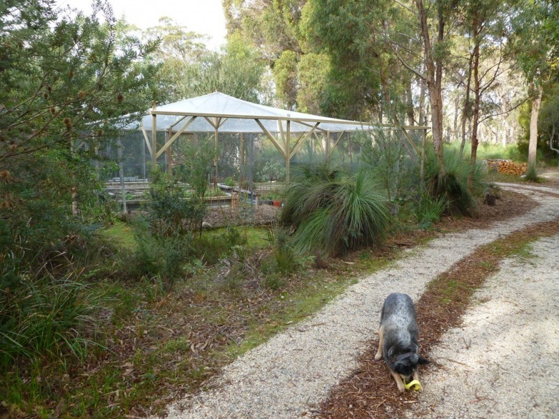 117 Marana Drive, Bakers Beach TAS 7307