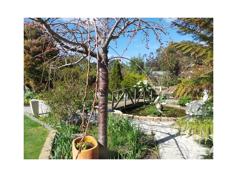 58 Appleby Road, Northdown TAS 7307