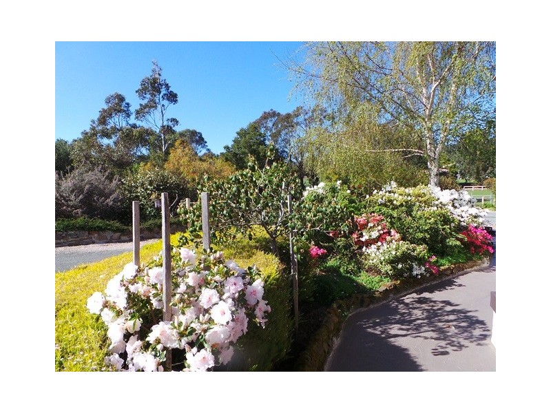 58 Appleby Road, Northdown TAS 7307