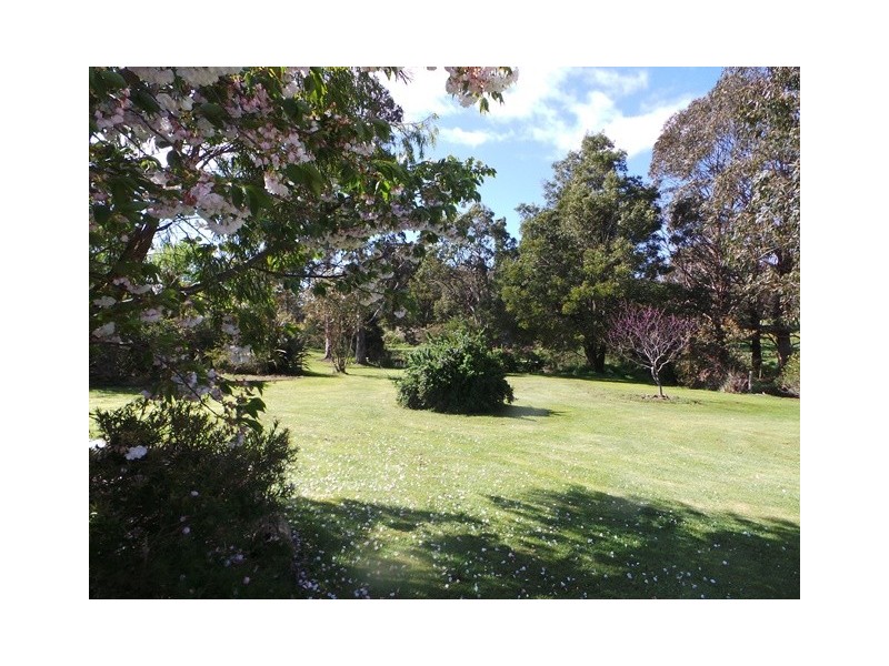 58 Appleby Road, Northdown TAS 7307