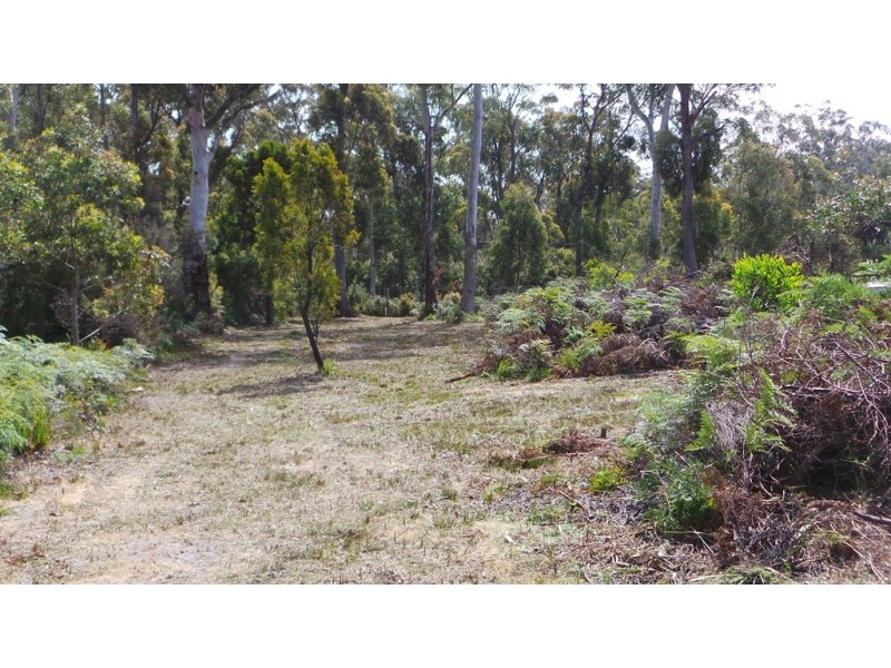 9 Anstey Street, Squeaking Point TAS 7307