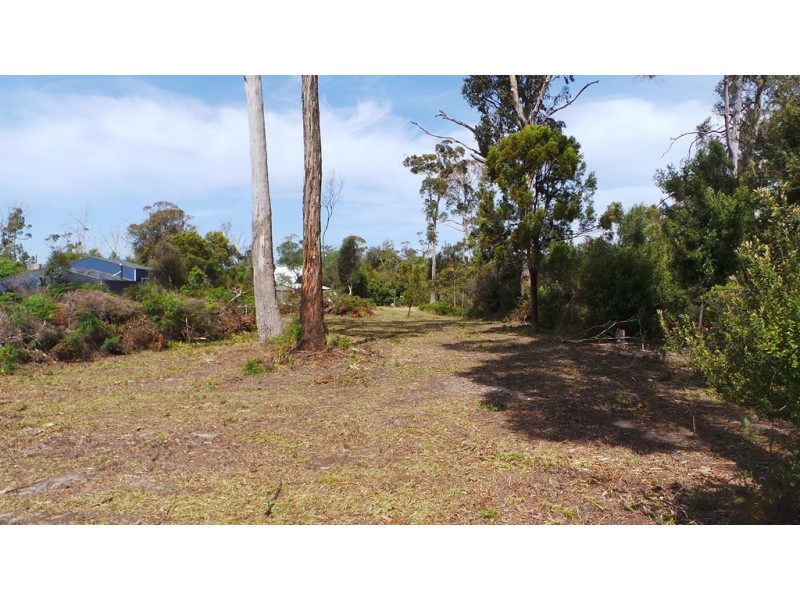 9 Anstey Street, Squeaking Point TAS 7307