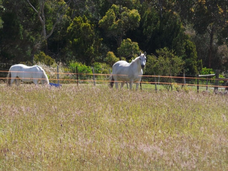 25 Springfield Park Road, Northdown TAS 7307