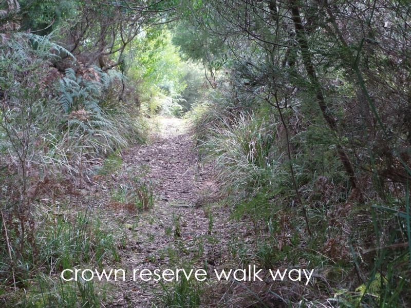 61 Marana Drive, Bakers Beach TAS 7307