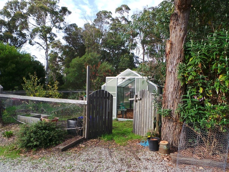 61 Marana Drive, Bakers Beach TAS 7307