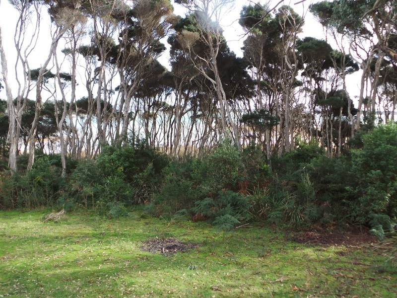 Lot 22 Marana Drive, Bakers Beach TAS 7307