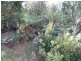 Lot 22 Marana Drive, Bakers Beach TAS 7307