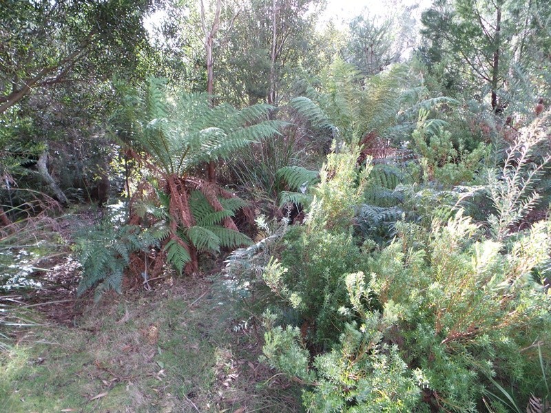Lot 22 Marana Drive, Bakers Beach TAS 7307