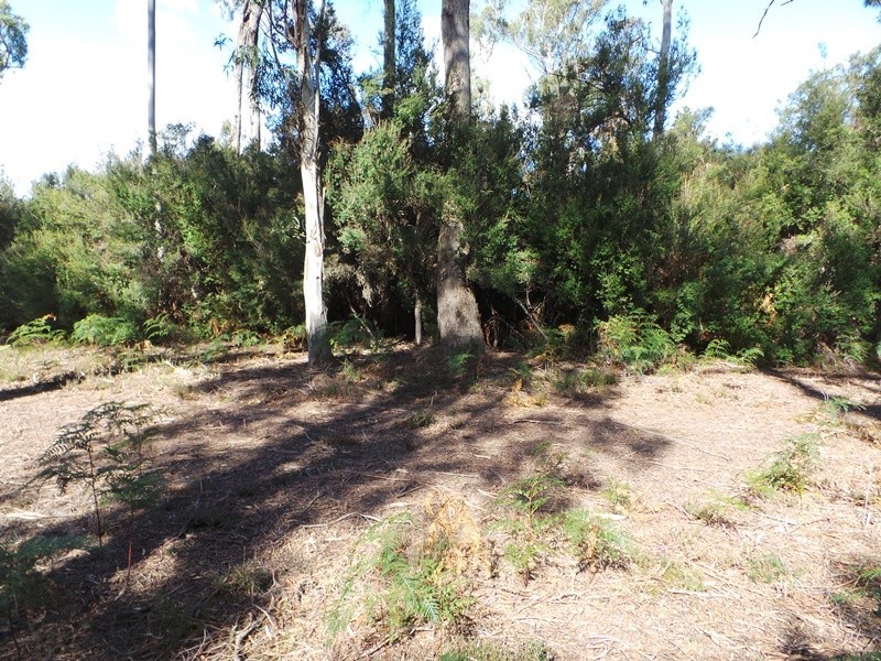 Lot 6 Gardiner Street, Squeaking Point TAS 7307