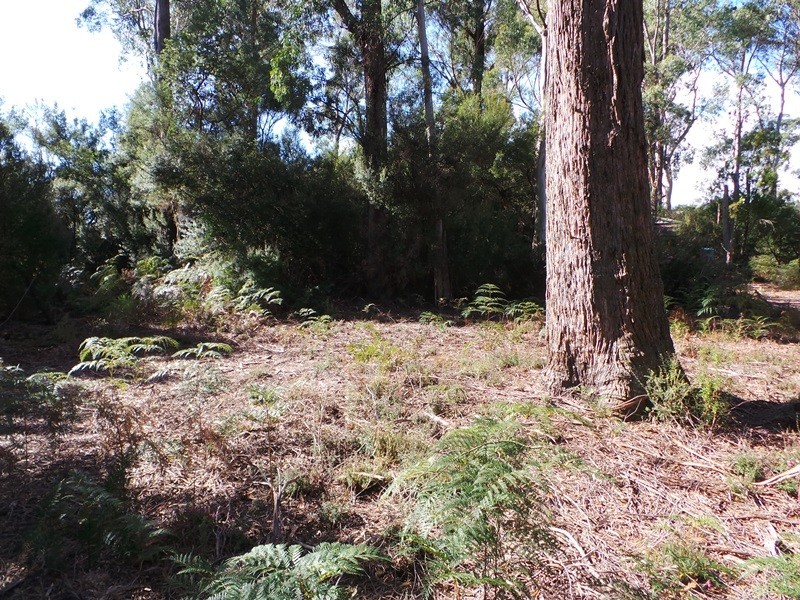 Lot 6 Gardiner Street, Squeaking Point TAS 7307