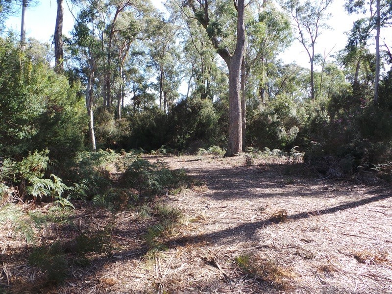 Lot 6 Gardiner Street, Squeaking Point TAS 7307