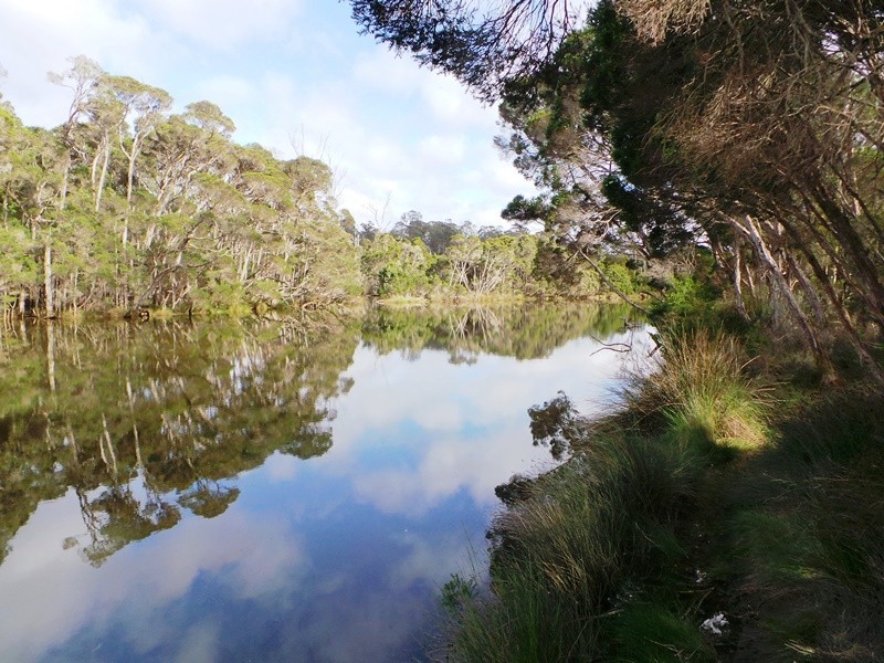 Lot 1 Frankford Road, Harford TAS 7307