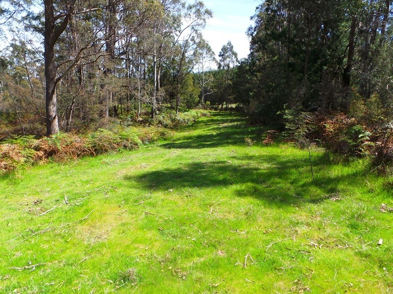 Lot 1 Frankford Road, Harford TAS 7307