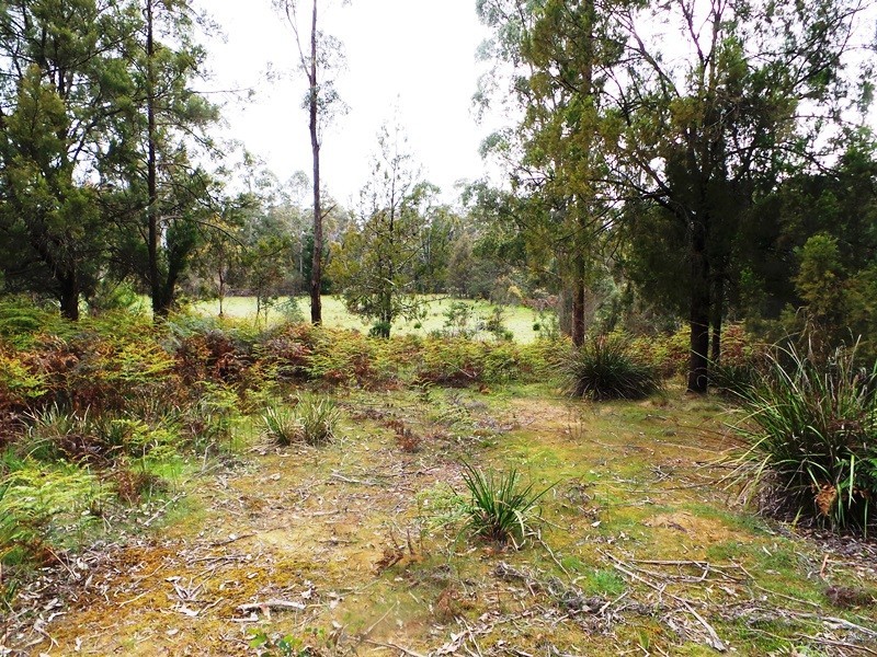 Lot 1 Frankford Road, Harford TAS 7307
