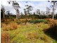 Lot 1 Frankford Road, Harford TAS 7307