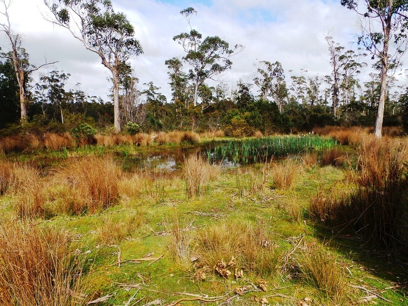 Lot 1 Frankford Road, Harford TAS 7307