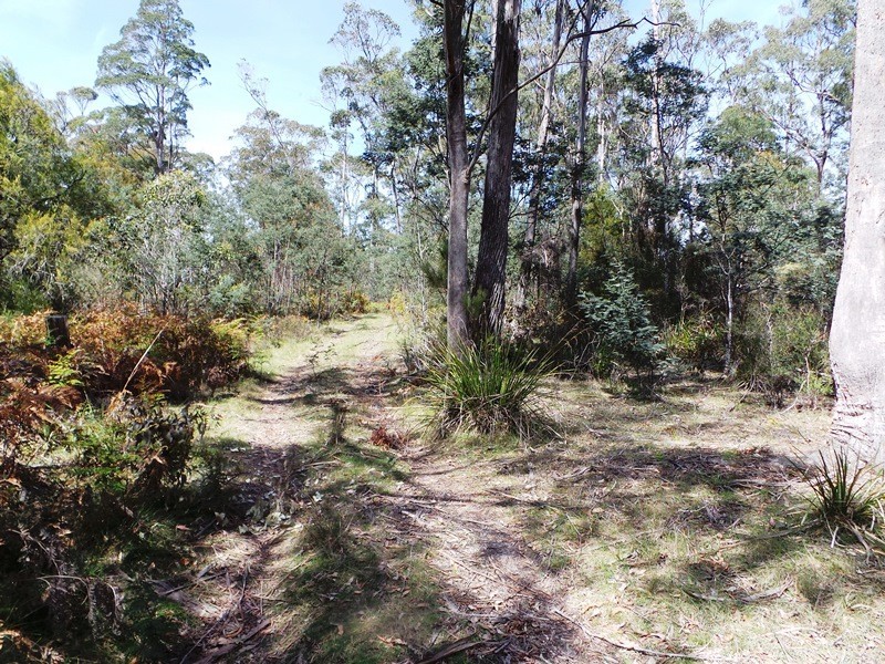 Lot 1 Frankford Road, Harford TAS 7307