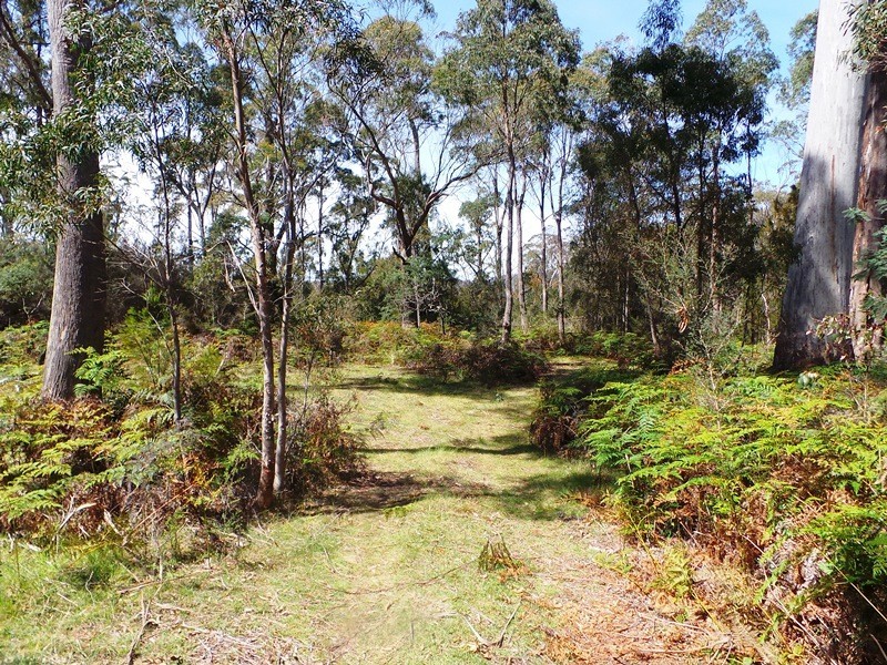 Lot 1 Frankford Road, Harford TAS 7307