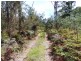 Lot 1 Frankford Road, Harford TAS 7307