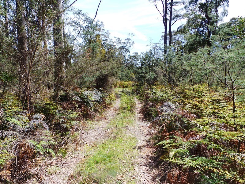 Lot 1 Frankford Road, Harford TAS 7307
