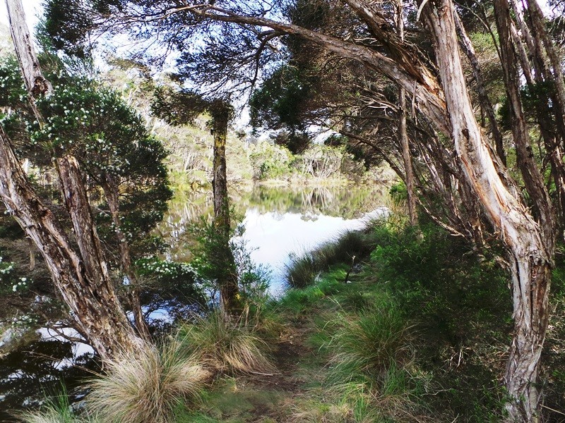 Lot 1 Frankford Road, Harford TAS 7307