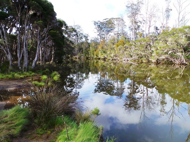 Lot 1 Frankford Road, Harford TAS 7307