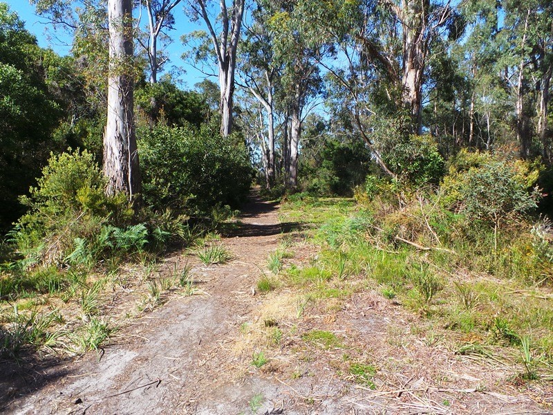Lot 1 Gardiner Street, Squeaking Point TAS 7307