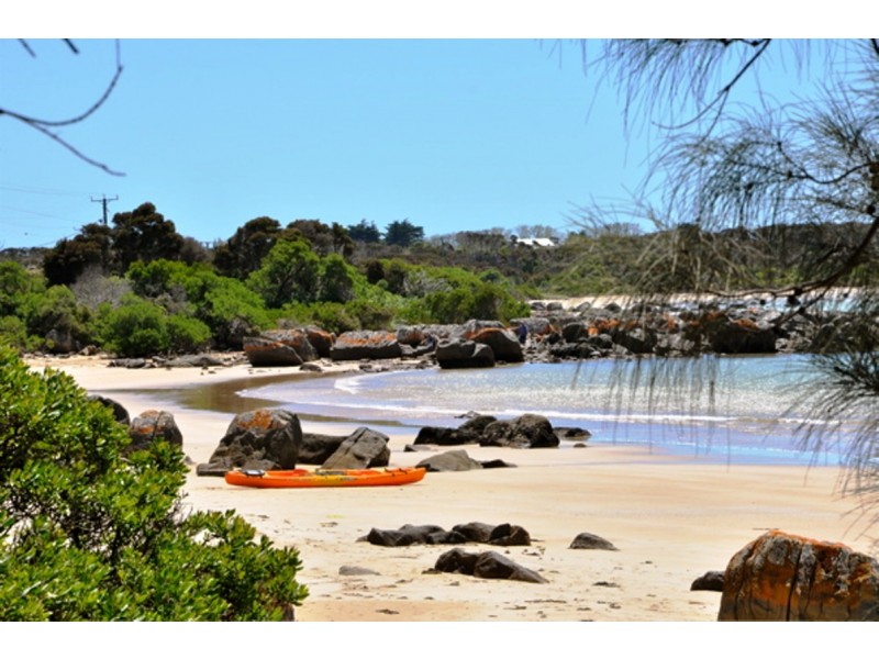 22 Chardonnay Drive, Hawley Beach TAS 7307